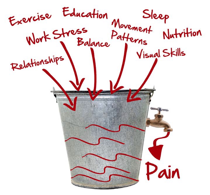 The Stress Bucket Diagram
